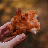 Mandarin Quartz M