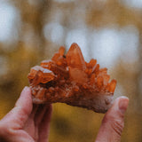 Mandarin Quartz M